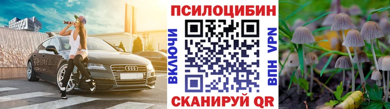 купить наркотики сайты Уяр Галлюциногенные грибы Magic Shrooms